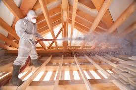 Best Insulation for New Construction  in Rushford, MN