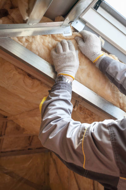 Best Soundproof Insulation  in Rushford, MN