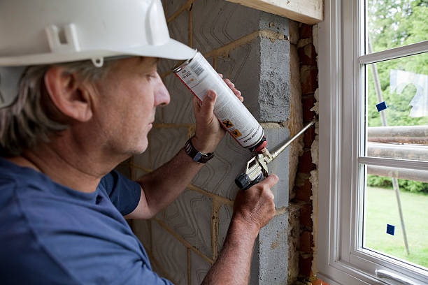 Best Attic Insulation Installation  in Rushford, MN